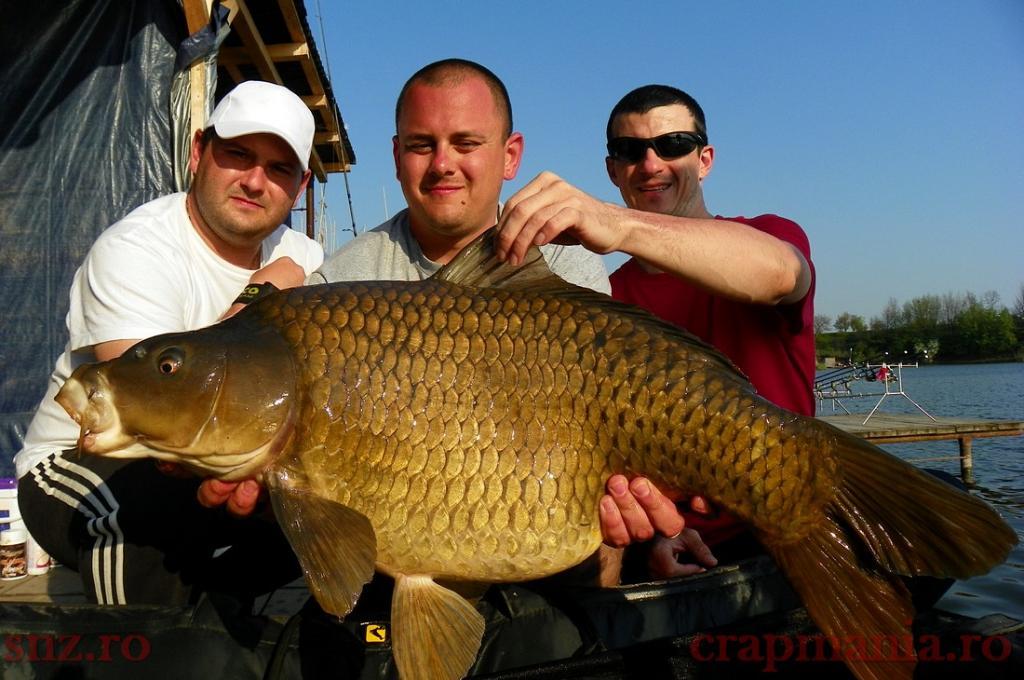 Trofeul tancabesti 2013 - 1012350.jpg